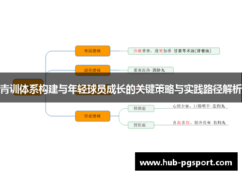 青训体系构建与年轻球员成长的关键策略与实践路径解析